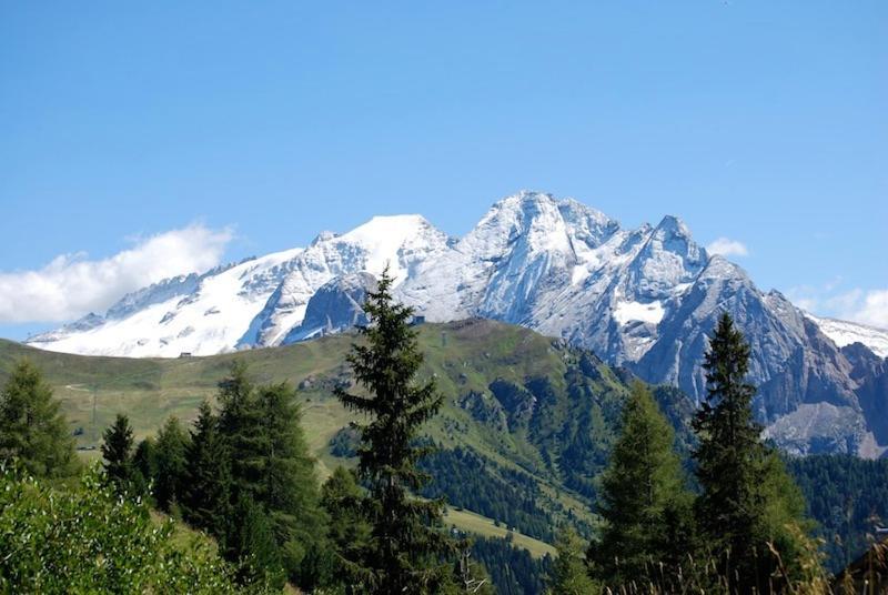 Appartamenti Chalet Orchidea Канацеї Екстер'єр фото