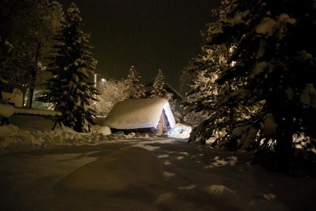 Appartamenti Chalet Orchidea Канацеї Екстер'єр фото