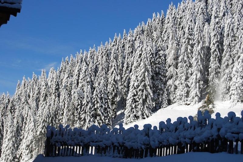 Appartamenti Chalet Orchidea Канацеї Екстер'єр фото