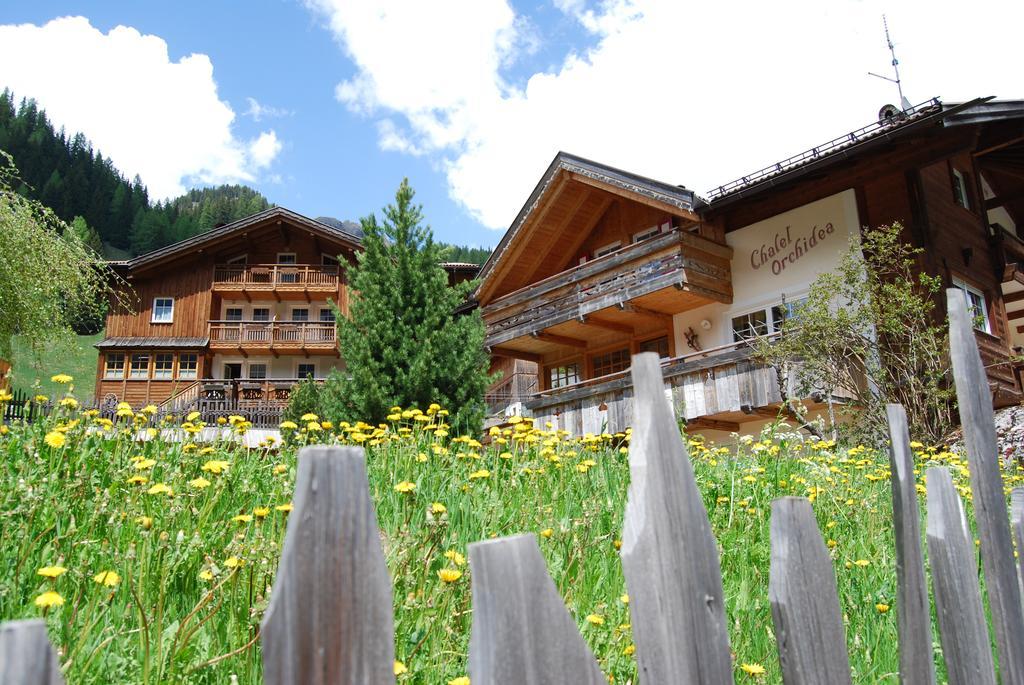 Appartamenti Chalet Orchidea Канацеї Екстер'єр фото